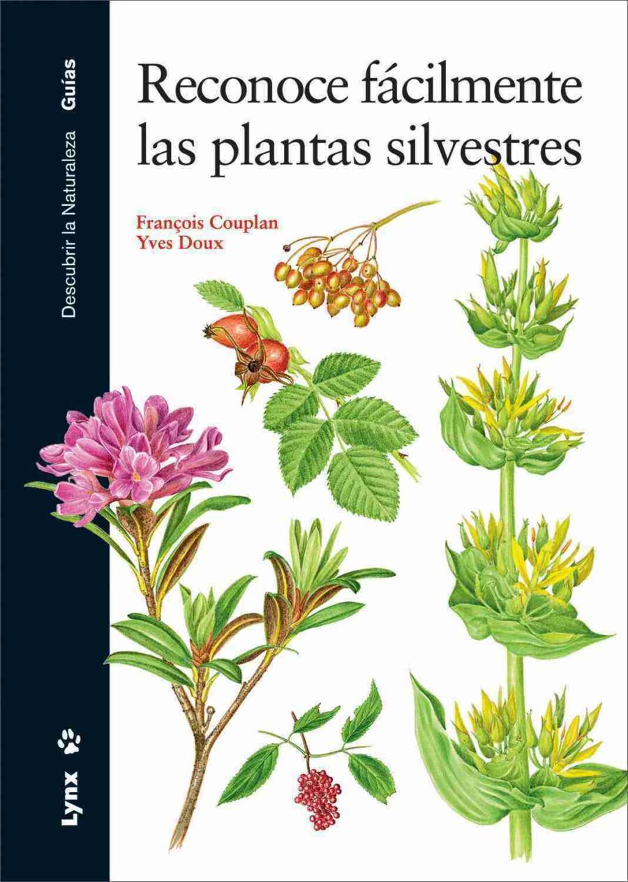 Reconoce fácilmente las plantas silvestres