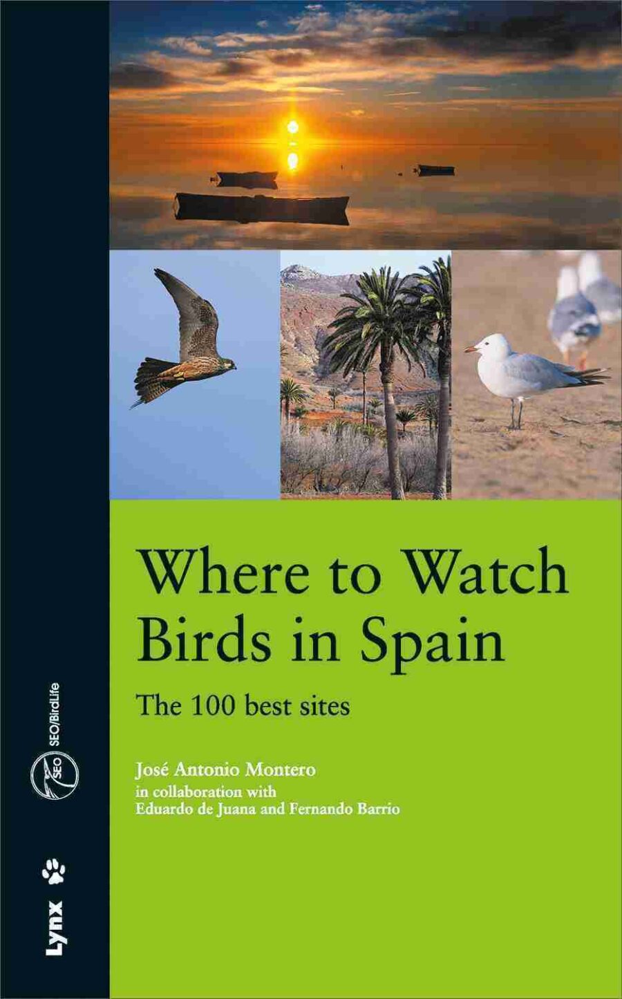 Where to watch birds in Spain