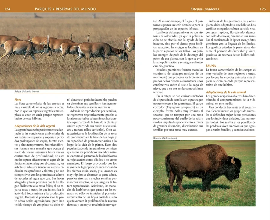 Parques y reservas del mundo - Image 5