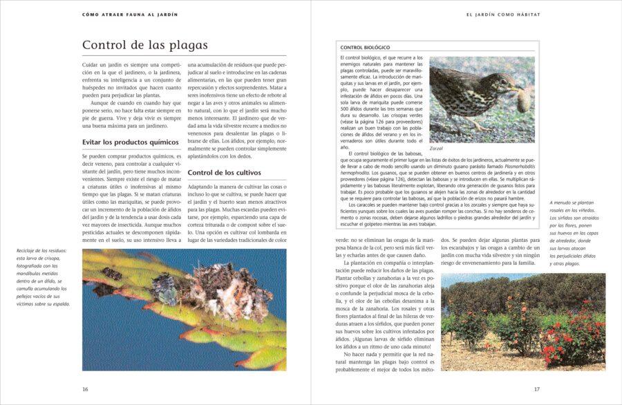 Cómo atraer fauna al jardín | Michael Chinery