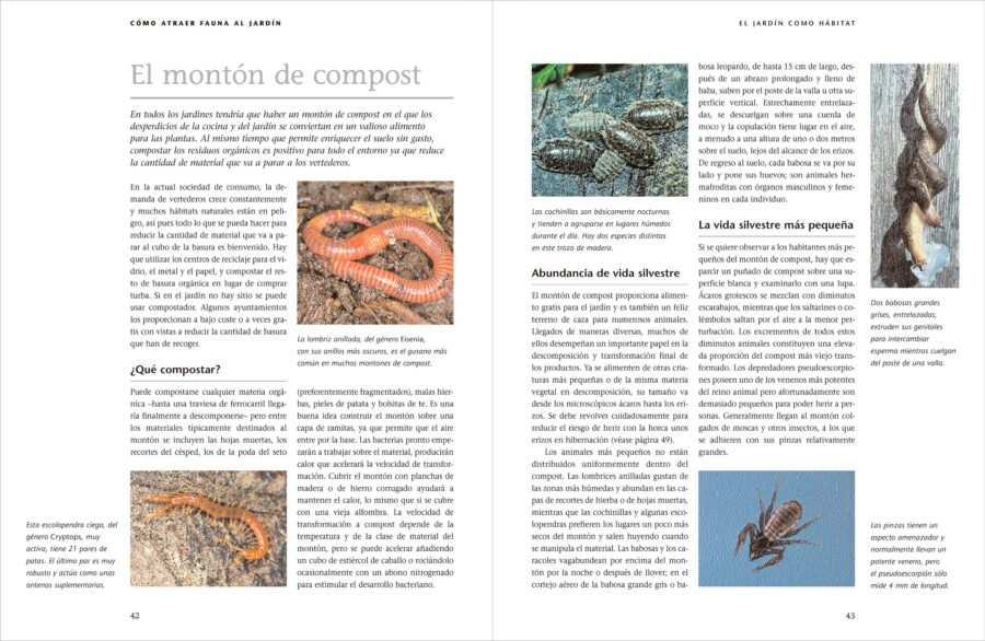 Cómo atraer fauna al jardín | Michael Chinery