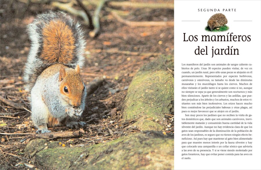 Cómo atraer fauna al jardín | Michael Chinery