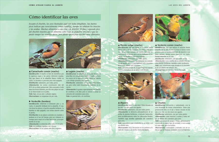 Cómo atraer fauna al jardín | Michael Chinery