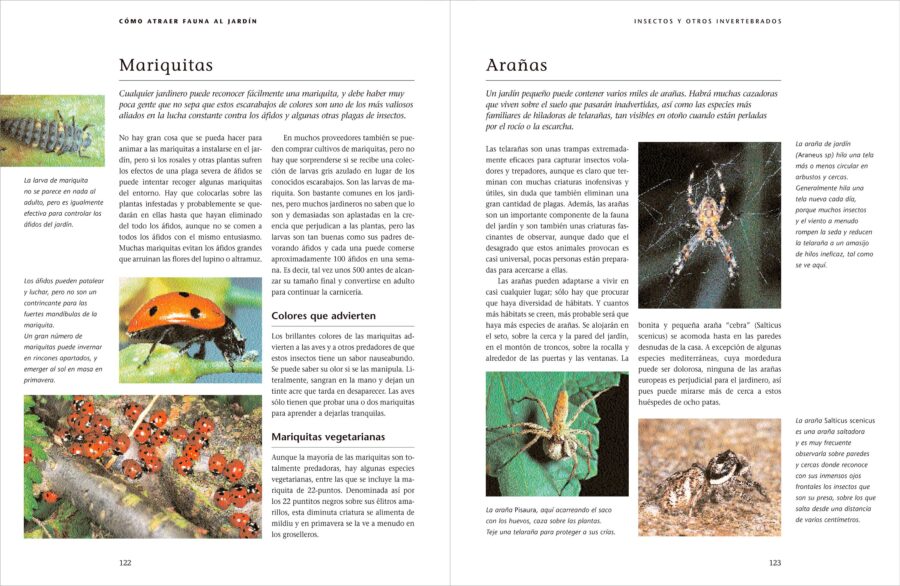 Cómo atraer fauna al jardín | Michael Chinery