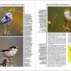 Handbook of the Birds of the World - Volume 13 - Imagen 18