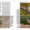 Handbook of the Birds of the World - Volume 13 - Imagen 16