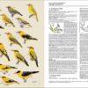 Handbook of the Birds of the World - Volume 13 - Imagen 21