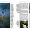 Handbook of the Birds of the World - Volume 14 - Image 13