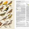 Handbook of the Birds of the World - Volume 14 - Image 20