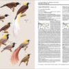 Handbook of the Birds of the World - Volume 14 - Image 19