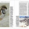 Handbook of the Birds of the World - Volume 14 - Image 14