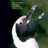 The Ornithologist’s Dictionary - Image 2
