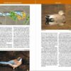 Dónde ver Aves en Doñana - 图片 5