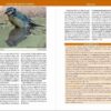 Dónde ver Aves en Doñana - 图片 4