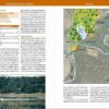 Dónde ver Aves en Doñana - 图片 3
