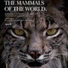 Portada del Manual de los mamíferos del mundo Volumen 1 Carnívoros