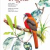 Trogons - Imagen 2