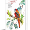 Trogons