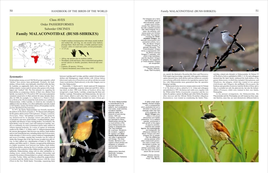 Handbook of the Birds of the World - Volume 14 - Image 3