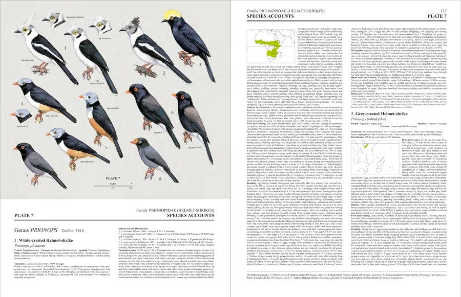 Handbook of the Birds of the World - Volume 14 - Image 4