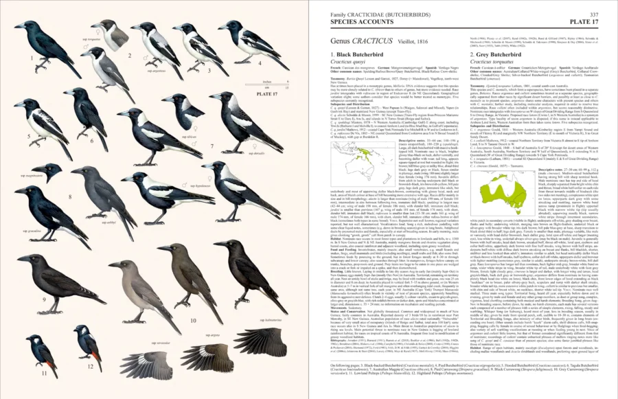 Handbook of the Birds of the World - Volume 14 - Image 6