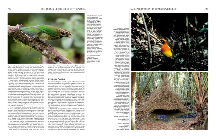 Handbook of the Birds of the World - Volume 14 - Image 7