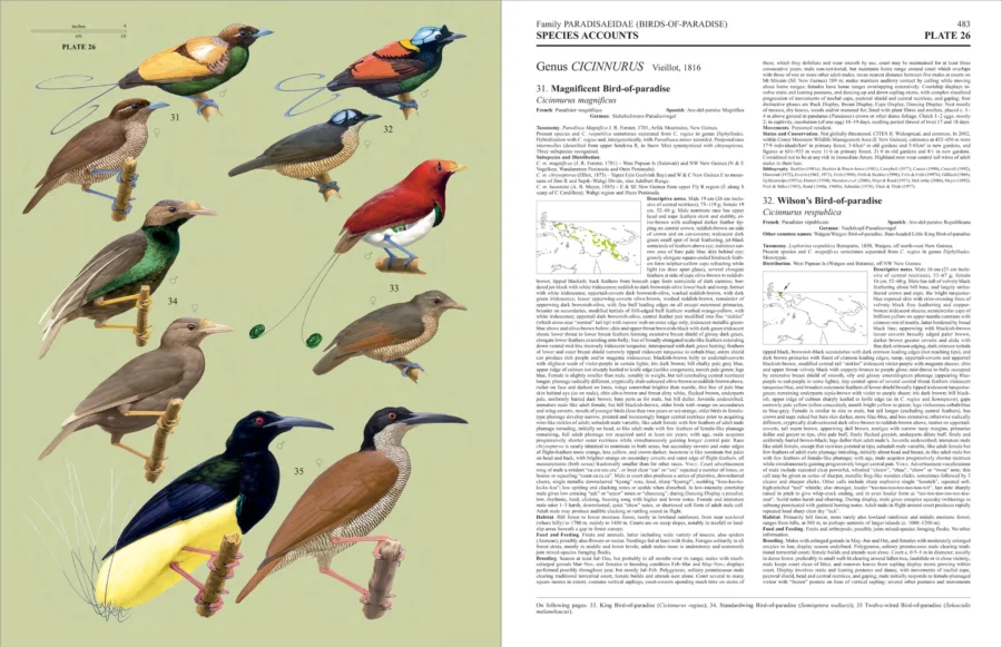 Handbook of the Birds of the World - Volume 14 - Image 8