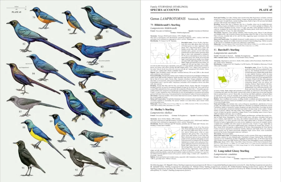 Handbook of the Birds of the World - Volume 14 - Image 10