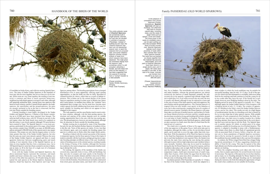 Handbook of the Birds of the World - Volume 14 - Image 11