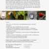 The American Bird Conservancy Guide to Bird Conservation - 图片 2