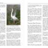 The American Bird Conservancy Guide to Bird Conservation - 图片 3