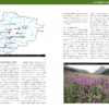 On observar natura a Andorra - Image 4