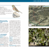 On observar natura a Andorra - Image 8