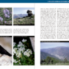 On observar natura a Andorra - Image 9