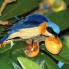 Handbook of the Birds of the World - Volume 16 - Image 3