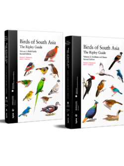 Aves de Asia Meridional - La Guía Ripley (dos volúmenes)
