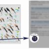 HBW and BirdLife International Illustrated Checklist of the Birds of the World (SET of two books) - Image 12