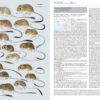 Handbook of the Mammals of the World - Volume 6 - 图片 6