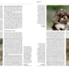 Handbook of the Mammals of the World - Volume 6 - 图片 7