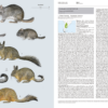 Handbook of the Mammals of the World - Volume 6 - 图片 14