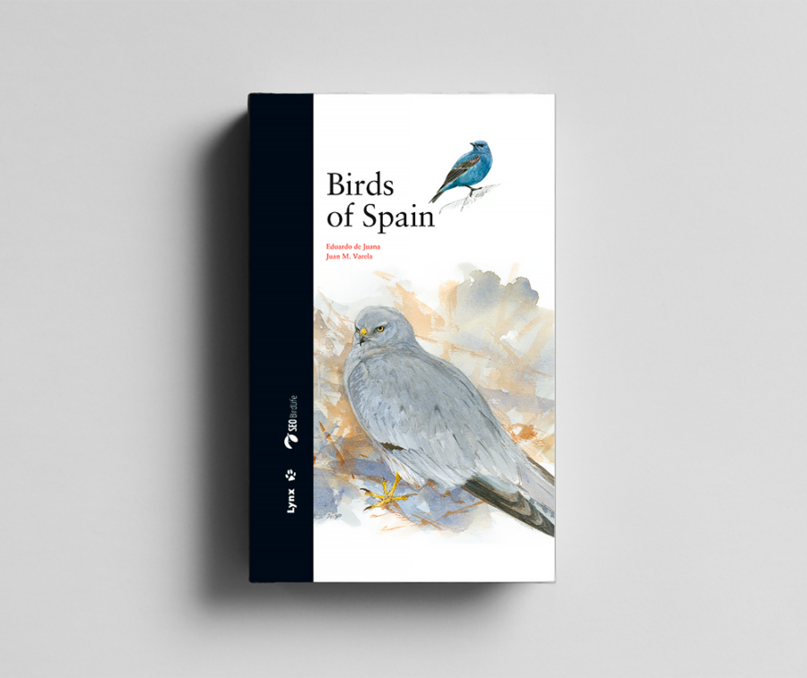 bird of Spain; dumb bird; eagles in Spain; parrots in Spain; ornithology book; bird guides; bird identification book