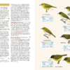 Birds of New Guinea - Imatge 9