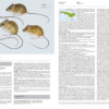 Handbook of the Mammals of the World - Volume 7 - Imagen 4