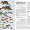 Handbook of the Mammals of the World - Volume 7 - Imagen 8