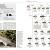 Handbook of the Mammals of the World - Volume 7 - Imagen 9