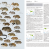 Handbook of the Mammals of the World - Volume 7 - Imagen 12