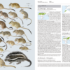 Handbook of the Mammals of the World - Volume 7 - Imagen 14