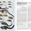 Handbook of the Mammals of the World - Volume 7 - Imagen 15