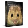 Handbook of the Mammals of the World - Volume 7