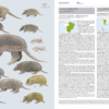 Handbook of the Mammals of the World - Volume 8 - 图片 4